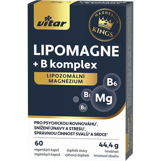 42201032_Vitar_Kings_LIPOMAGNE+B_komplex_60cps_blistr_WEB.jpg
