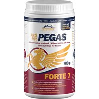 VITAR Veterinae ArtiVit Pegas Forte 7