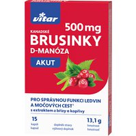 Vitar Kanadské brusinky AKUT 500 mg